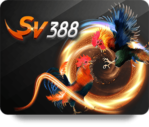 Tại Sao 78Win Thể Thao VIP Là Lựa Chọn Hàng Đầu?